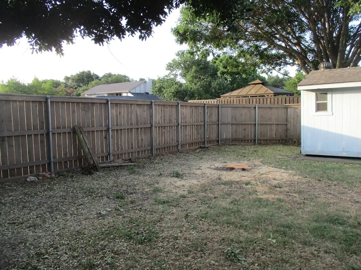 Cleared yard after professional tree removal in Durand